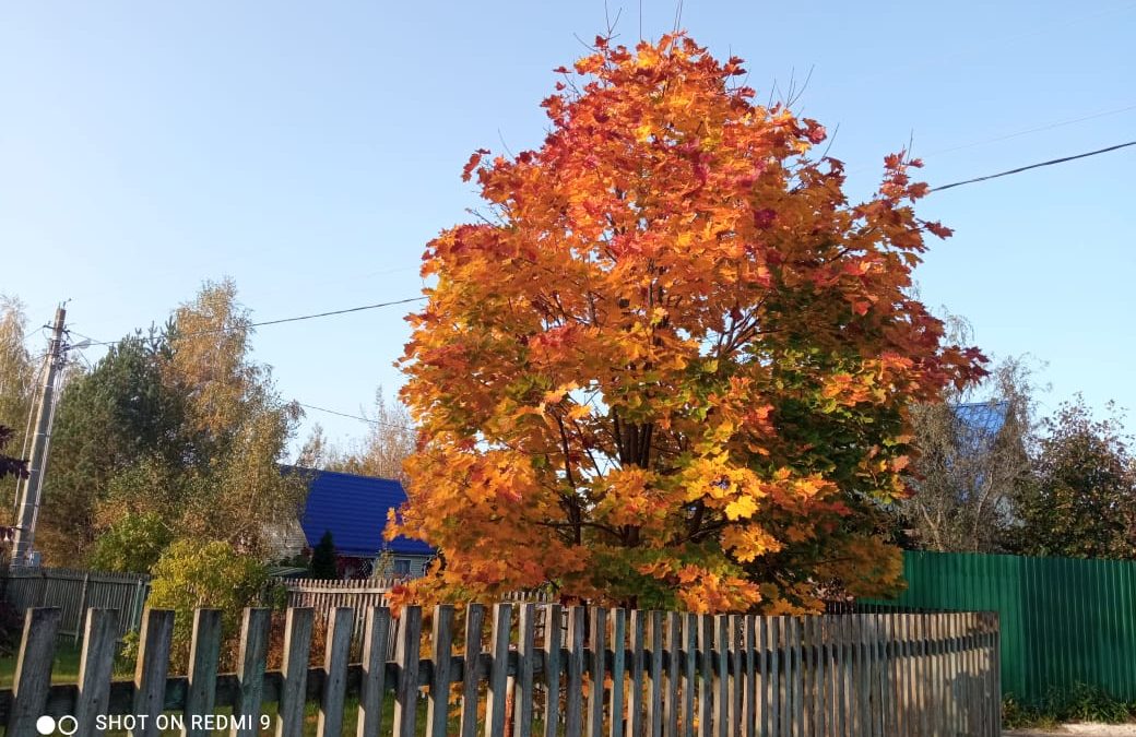 Осень в СНТ
